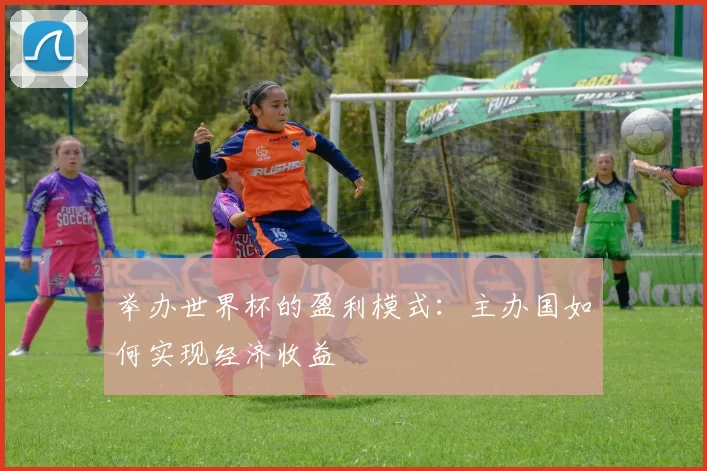 举办世界杯的盈利模式:主办国如何实现经济收益