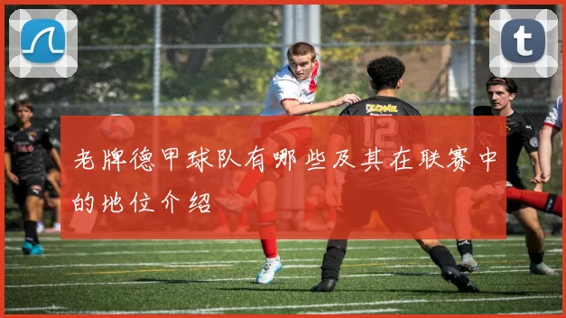 老牌德甲球队有哪些及其在联赛中的地位介绍