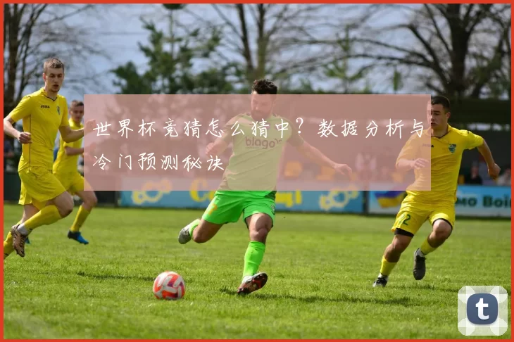 世界杯竞猜怎么猜中?数据分析与冷门预测秘诀