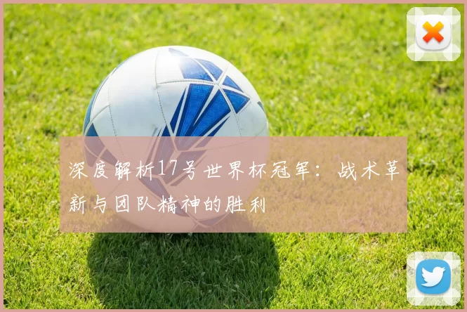 深度解析17号世界杯冠军：战术革新与团队精神的胜利
