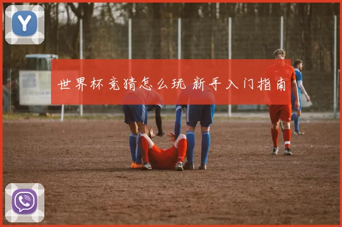世界杯竞猜怎么玩 新手入门指南