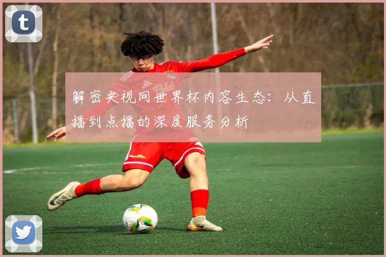 解密央视网世界杯内容生态:从直播到点播的深度服务分析