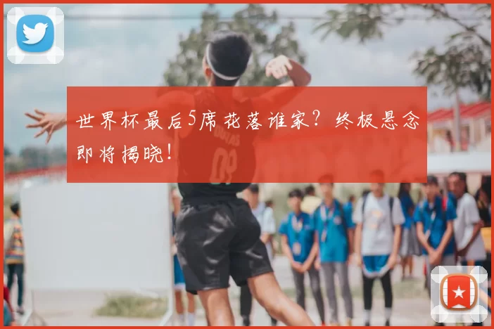 世界杯最后5席花落谁家？终极悬念即将揭晓！