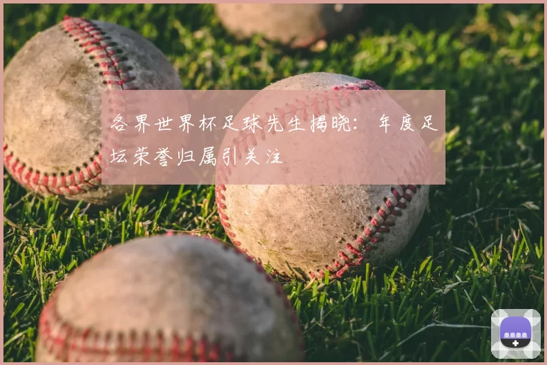 各界世界杯足球先生揭晓：年度足坛荣誉归属引关注