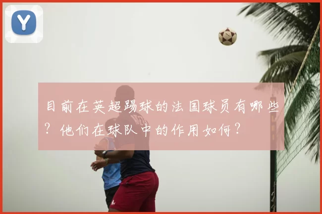 目前在英超踢球的法国球员有哪些？他们在球队中的作用如何？