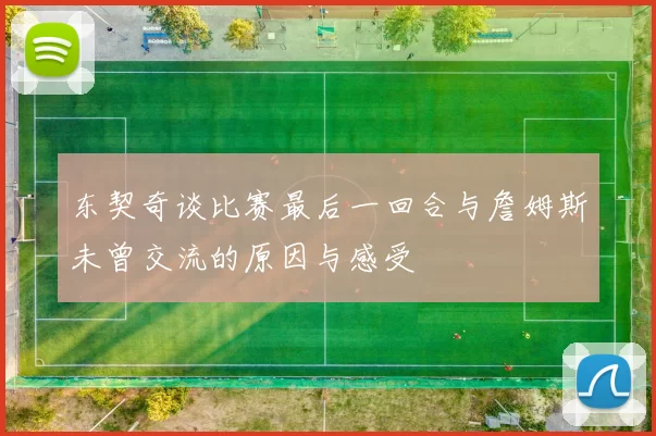 东契奇谈比赛最后一回合与詹姆斯未曾交流的原因与感受