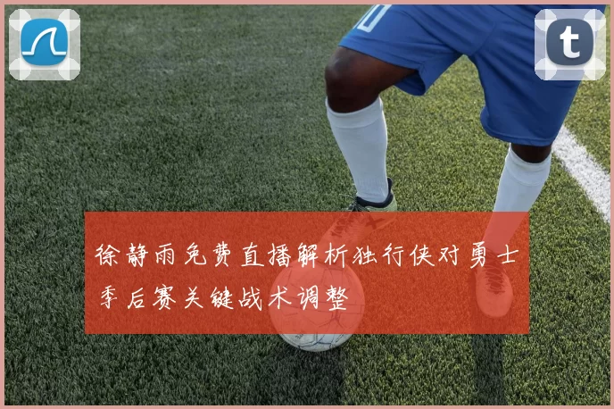 徐静雨免费直播解析独行侠对勇士季后赛关键战术调整