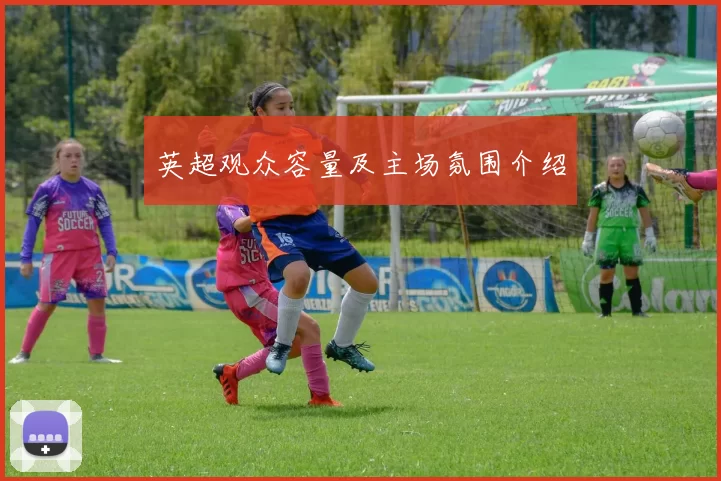 英超观众容量及主场氛围介绍