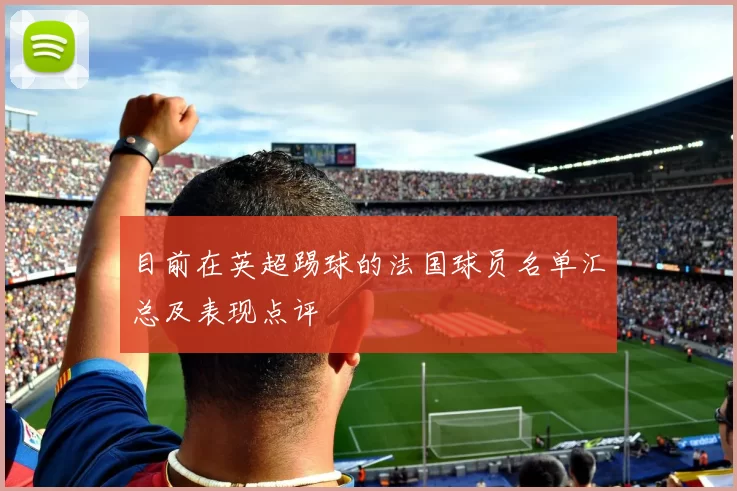 目前在英超踢球的法国球员名单汇总及表现点评