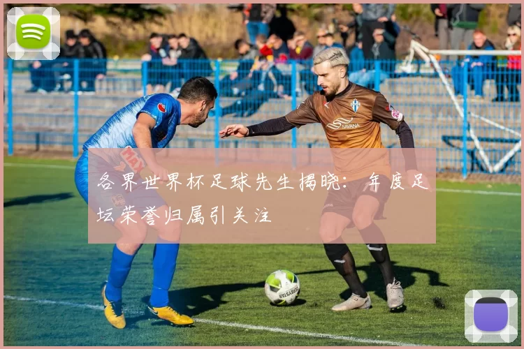 各界世界杯足球先生揭晓:年度足坛荣誉归属引关注