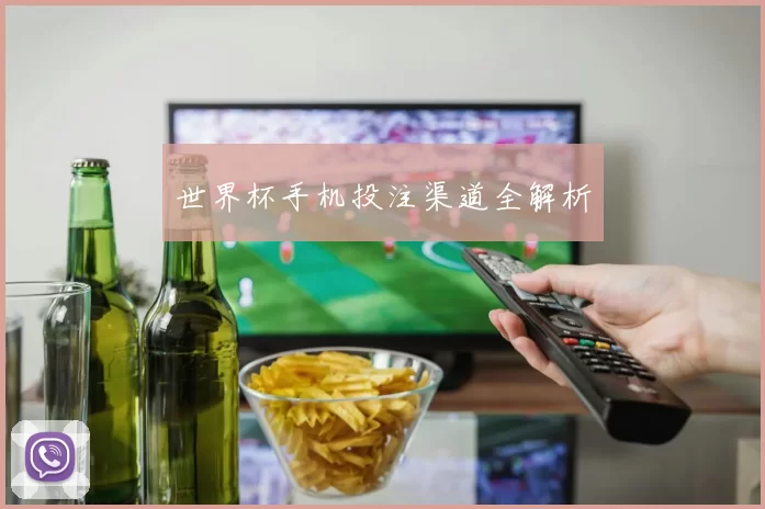 世界杯手机投注渠道全解析