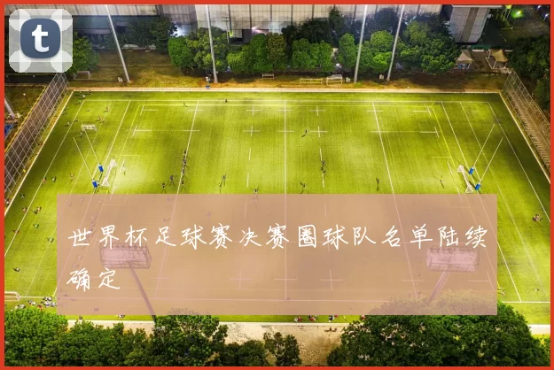 世界杯足球赛决赛圈球队名单陆续确定