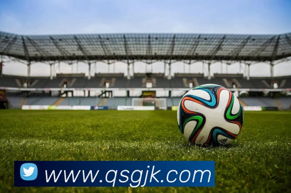 乐鱼体育APP 封面图